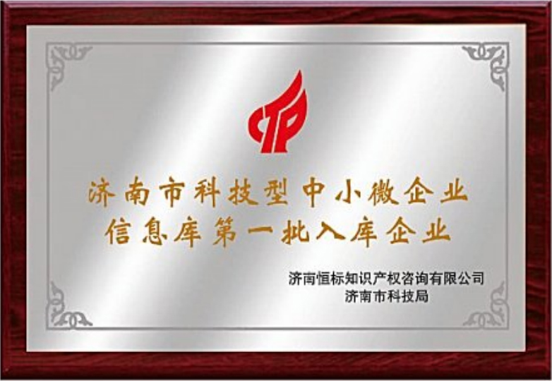 科技型中小微企业