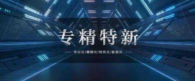 国家专精特新小巨人申报条件。