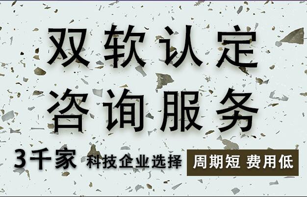 淄博双软认证需要几个审计报告