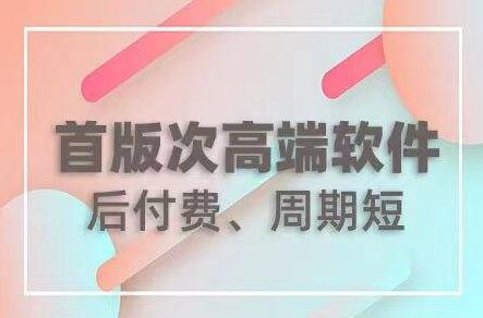 软件首版次认定及补助政策。